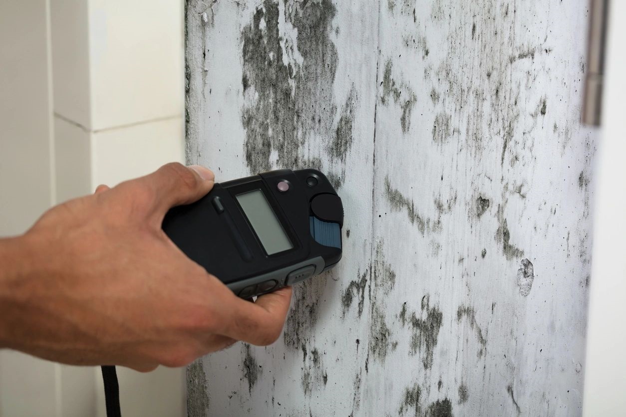 Black handheld device being pointed at a mold-damaged white wall